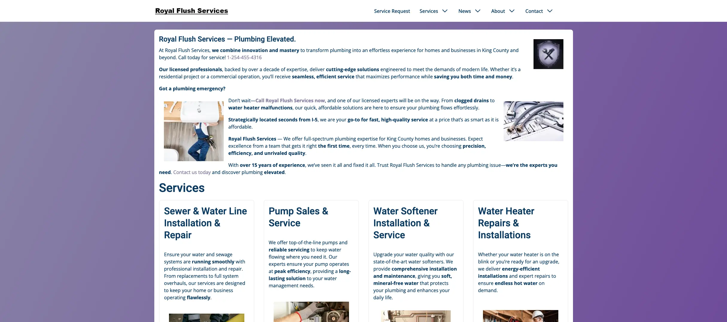 RoyalFlushServices.pro Website Preview RoyalFlushServices.pro Website Preview
